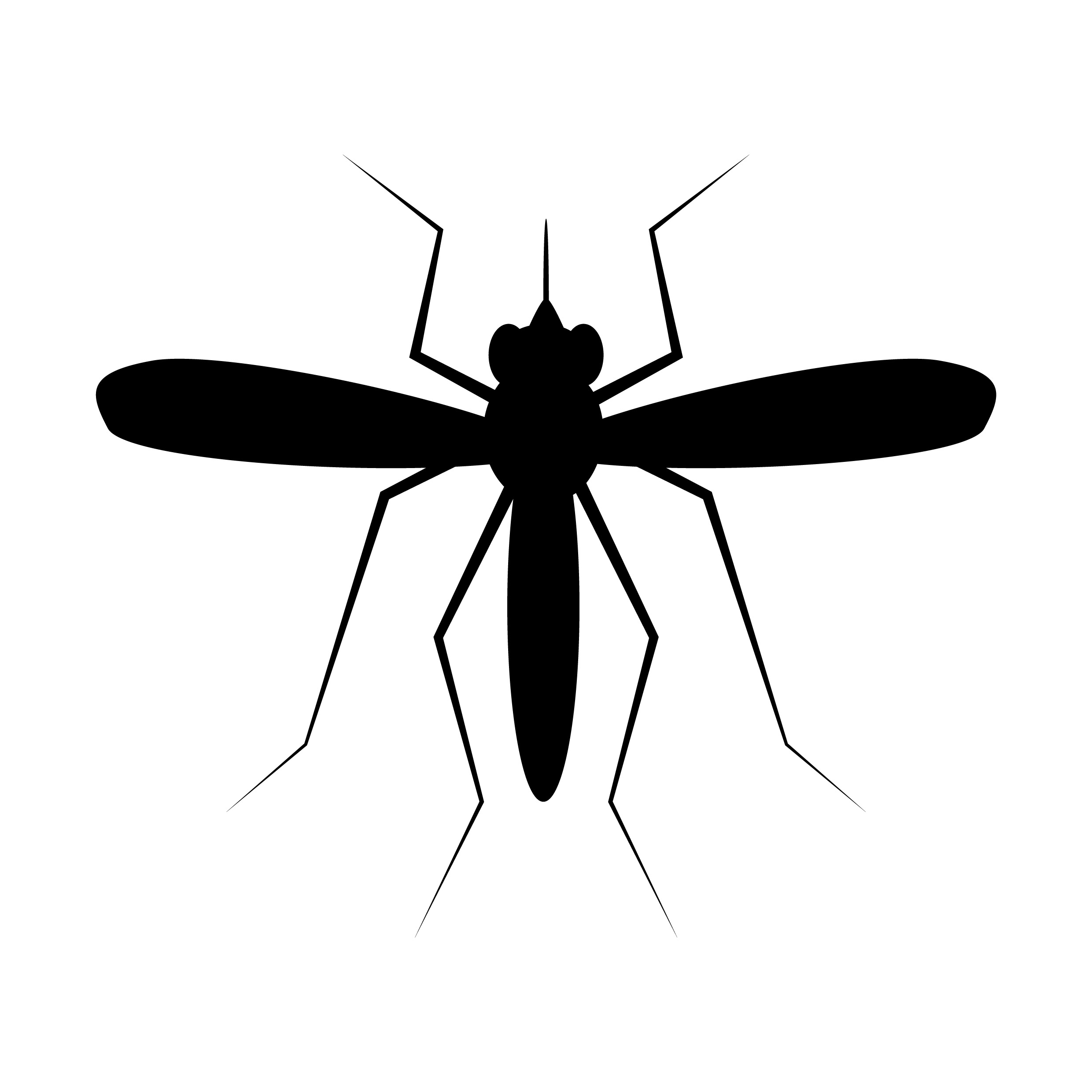 רשתות נגד יתושים- 5 המובילים